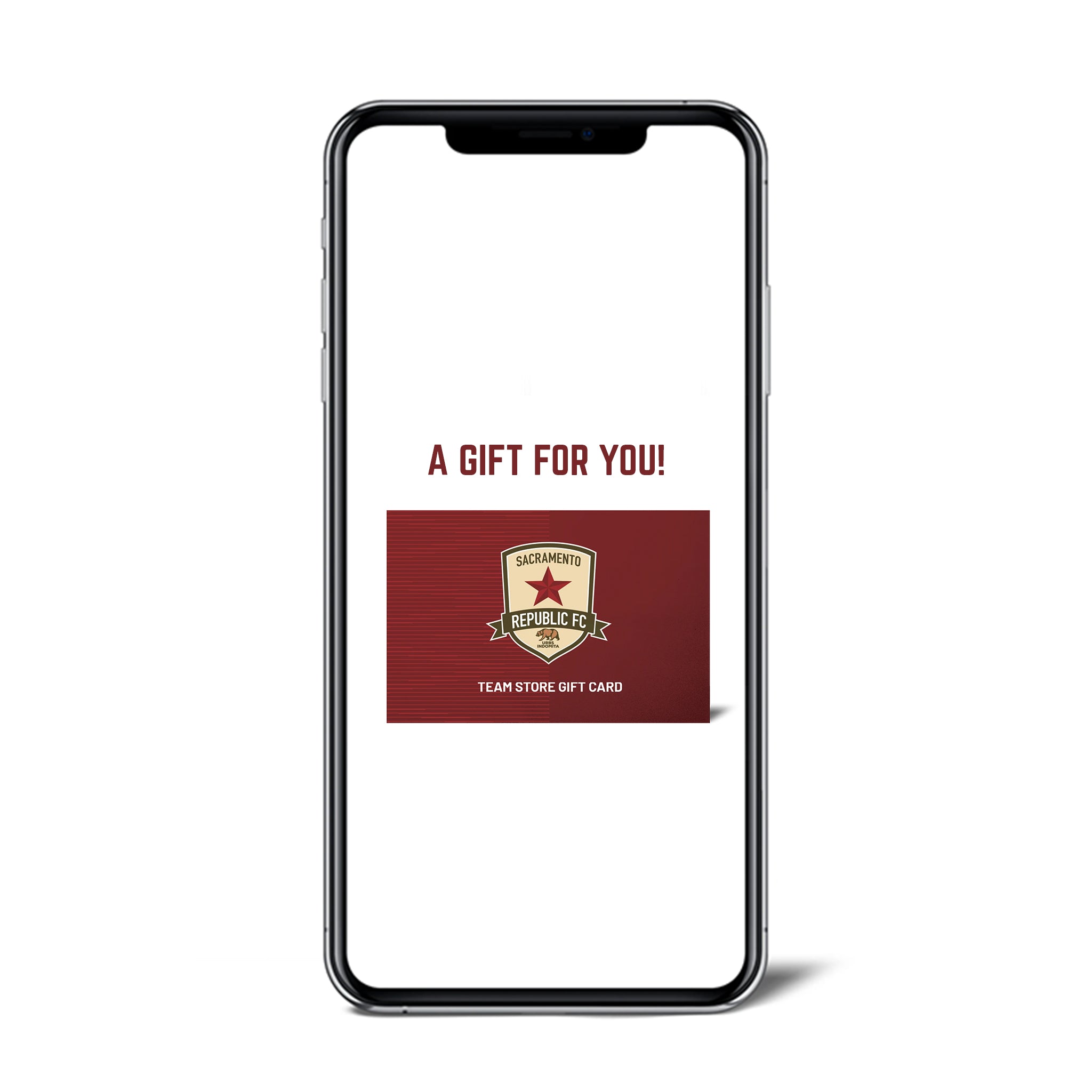 The Team Shop Online Gift Card